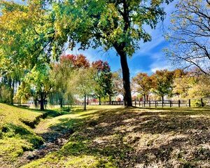 War Horse Place in the Fall - Creek