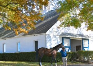 War Horse Place in the Fall - Barn One - Rombauer