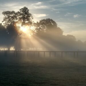 War Horse Place in the Fall - Sunrise Over the Field