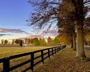 War Horse Place in the Fall