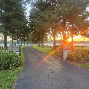 War Horse Place in the Spring - Sunrise at Front Gate