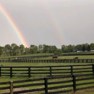 War Horse Place in the Summer - Rainbow over the fields