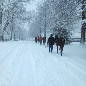 War Horse Place in the Winter