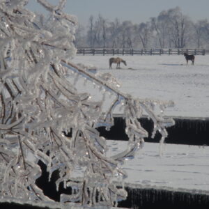 War Horse Place in the Winter