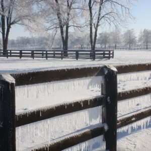 War Horse Place in the Winter