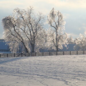 War Horse Place in the Winter