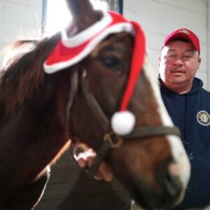 War Horse Place in the Winter - Santa Hooves