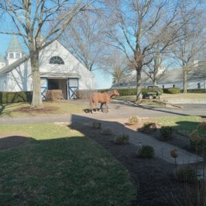 War Horse Place in the Winter - Barn Two