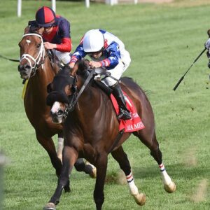 DRAMEDY CONSIGNED & RACED BY WAR HORSE PLACE Trained by Gerry Aschinger to victory in the 2015 edition of the G2 Dixiana Elkhorn Stakes at Keeneland.