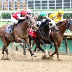 MIGHTY HEART RAISED BY WAR HORSE PLACE 2020 Canadian Horse of the Year.