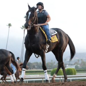 PRAYER FOR RELIEF FOALED AND RAISED BY WAR HORSE PLACE Multiple graded stakes winner and multi-millionaire.