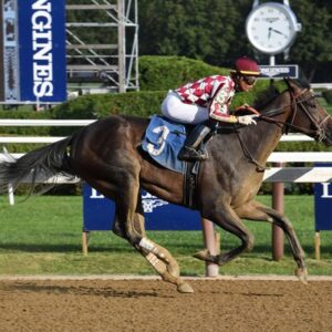 RISKY MANDATE RAISED AT WAR HORSE PLACE Graded stakes placed winner.