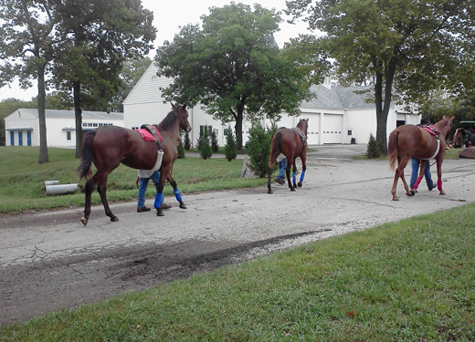 War Horse Place Facilities - Maintenance Barn