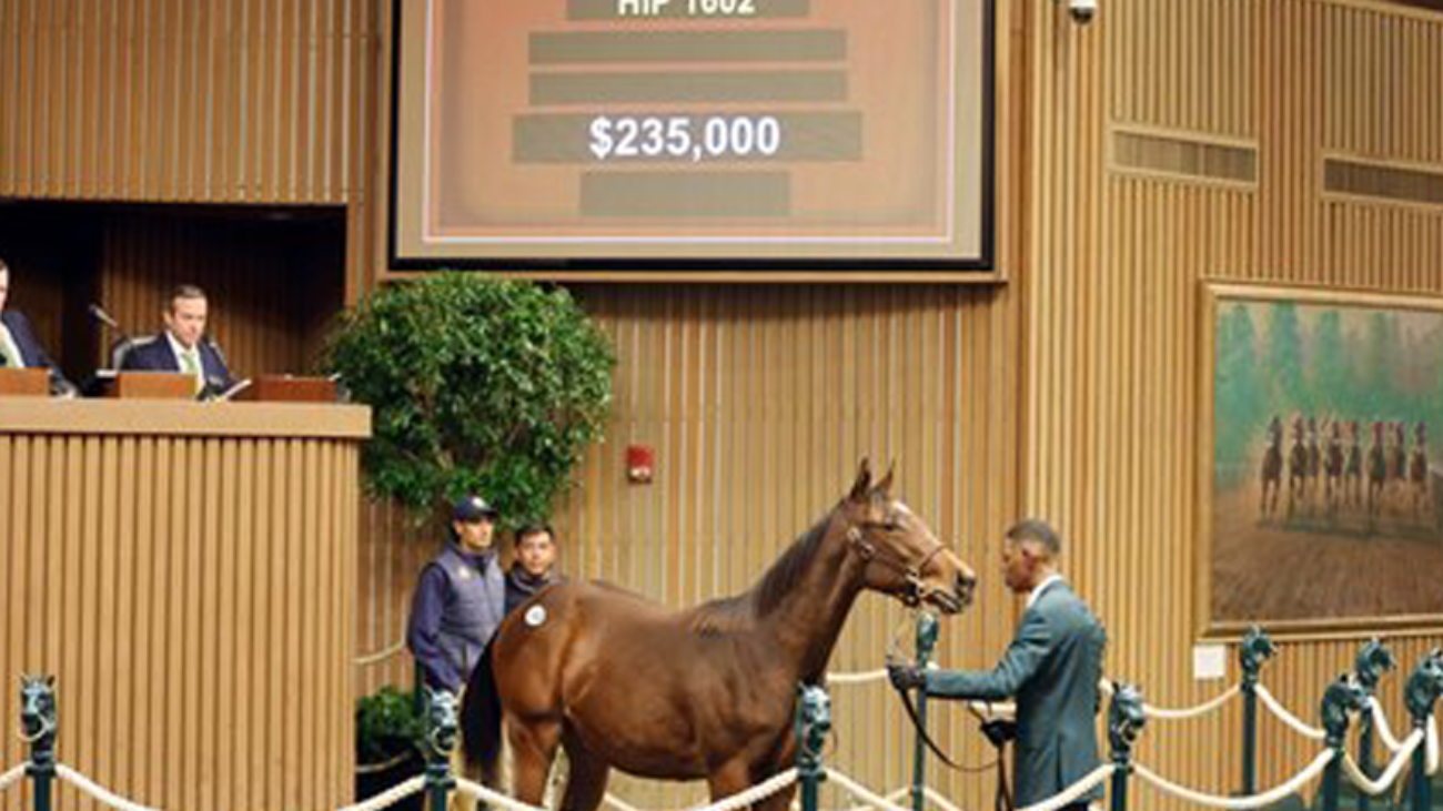 McKinzie Colt Rewards Areion at Keeneland