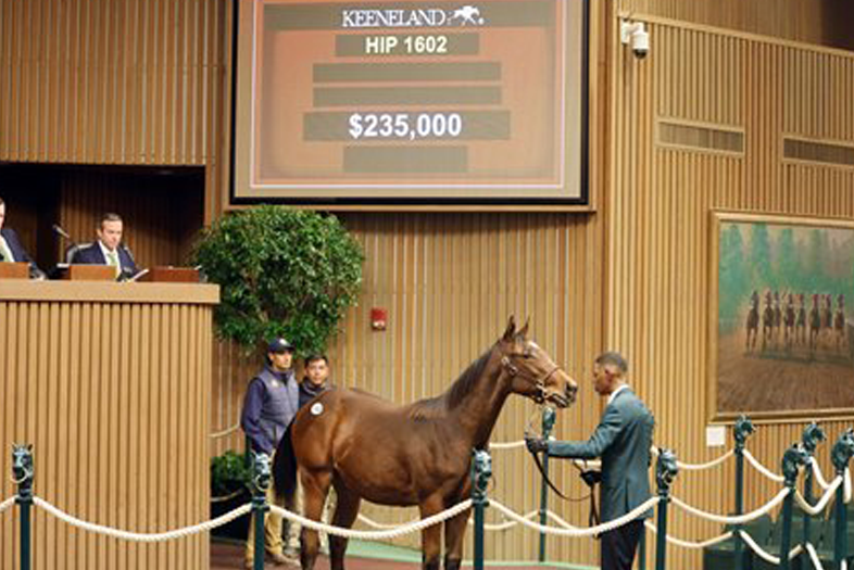 McKinzie Colt Rewards Areion at Keeneland