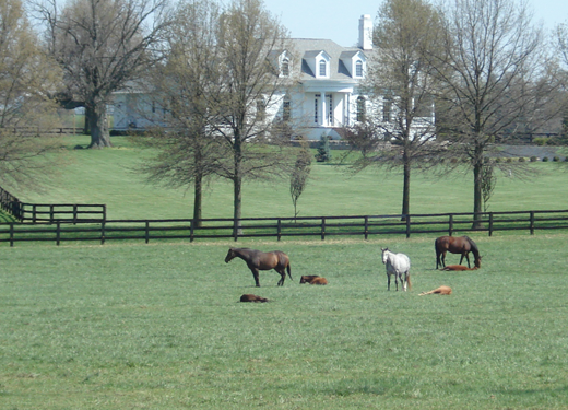 War Horse Place Facilities - Residence